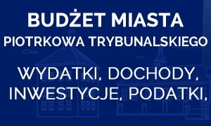 budżet miasta portal