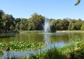 1778162830_ap_1778142710_park-plakat
