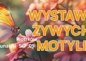 539367072_122138216162820068_4234857609503870085_n