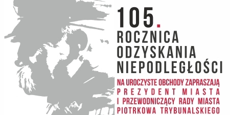 niepodległość 2023 NET — kopia